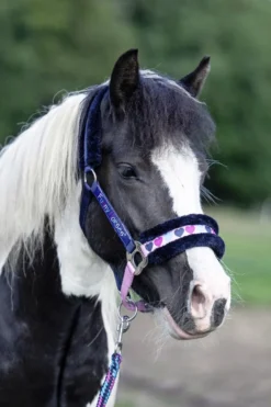HKM Halfter -Funny Horses Hearts-