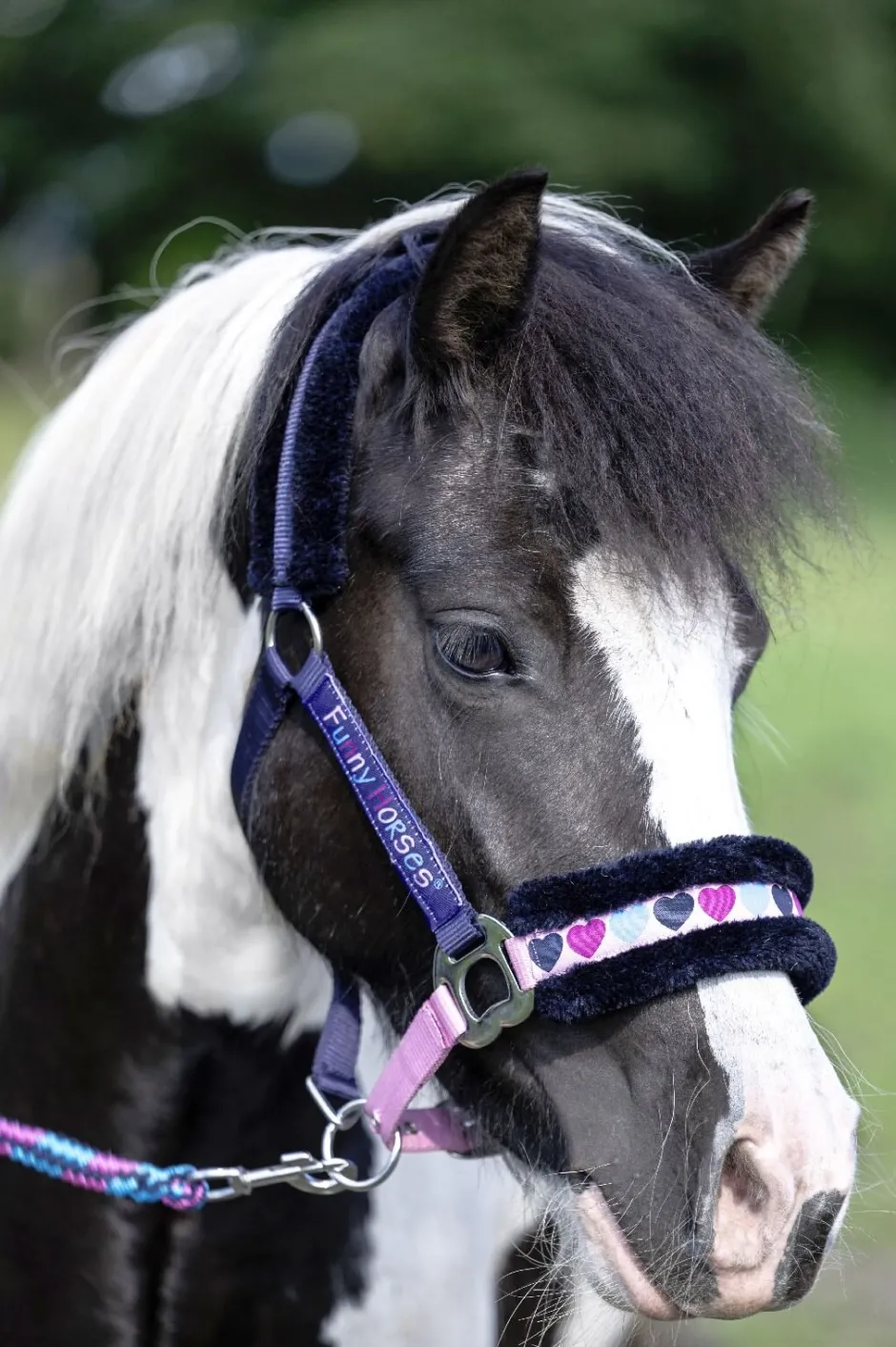 HKM Halfter -Funny Horses Hearts-