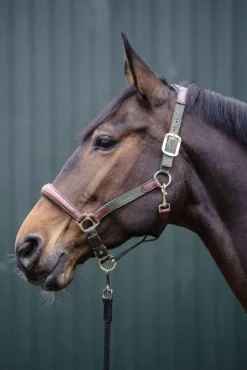 HKM Halfter -Luna-, Leder-Nylonkombination