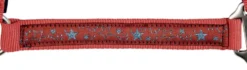 HKM Halfter mit Strick 180 cm und Karabiner -Sternchen-