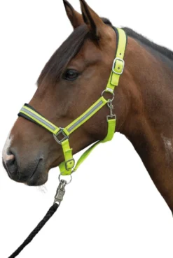 HKM Halfter -Reflective-