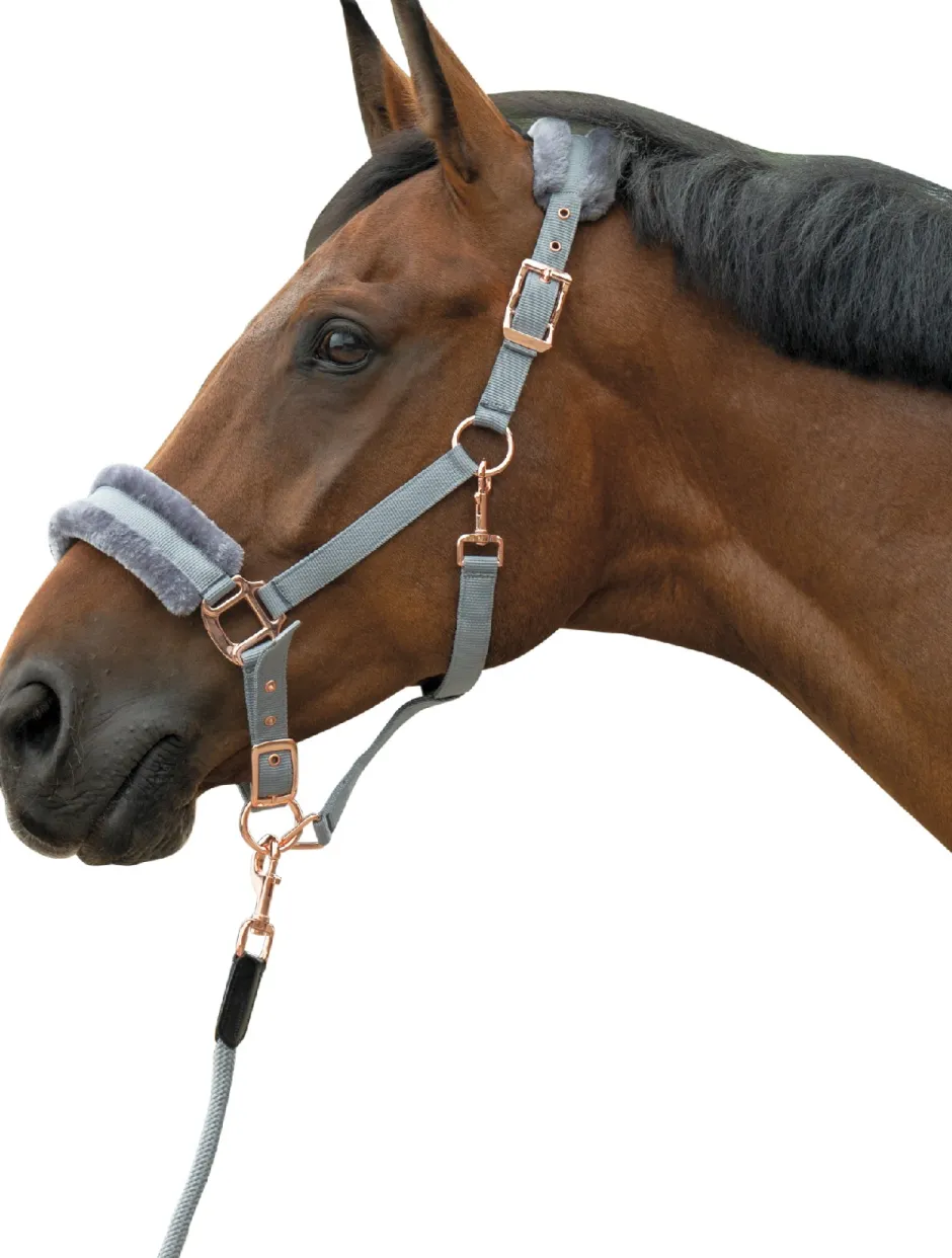 HKM Halfter -Rosegold Glamour- Style