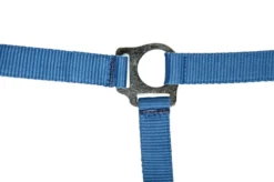 HKM Halfter -Stars Economy Softice-
