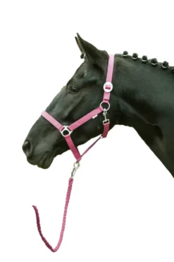 HKM Halfter -Stars Economy Softice-