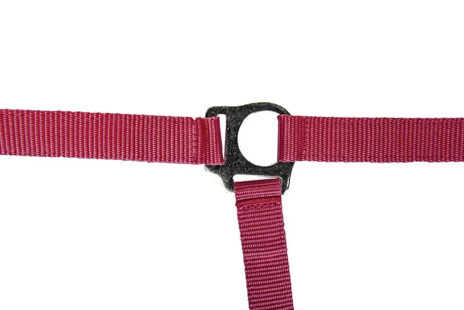 HKM Halfter -Stars Economy Softice-