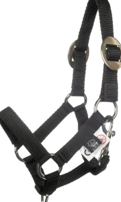 HKM Halfter und Strick -Hobby Horsing Basic-