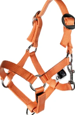 HKM Halfter und Strick -Hobby Horsing Basic-