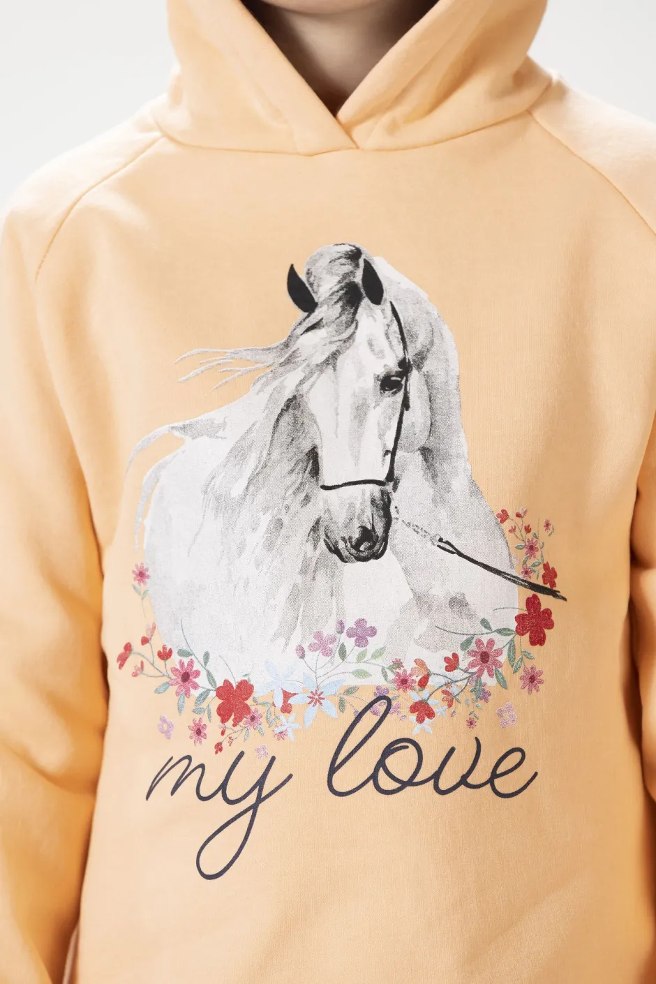 HKM Hoody -Horse Spirit-