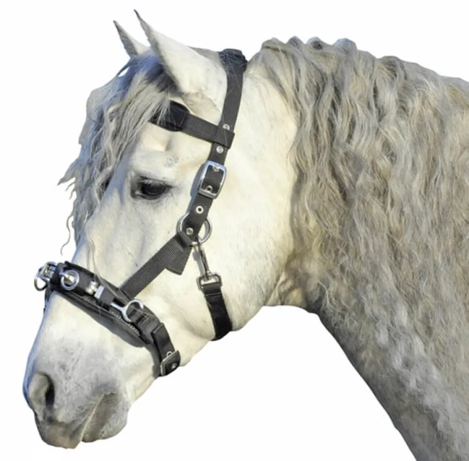 HKM Kappzaum aus Nylon
