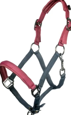 HKM Kids Halfter -Barnie-