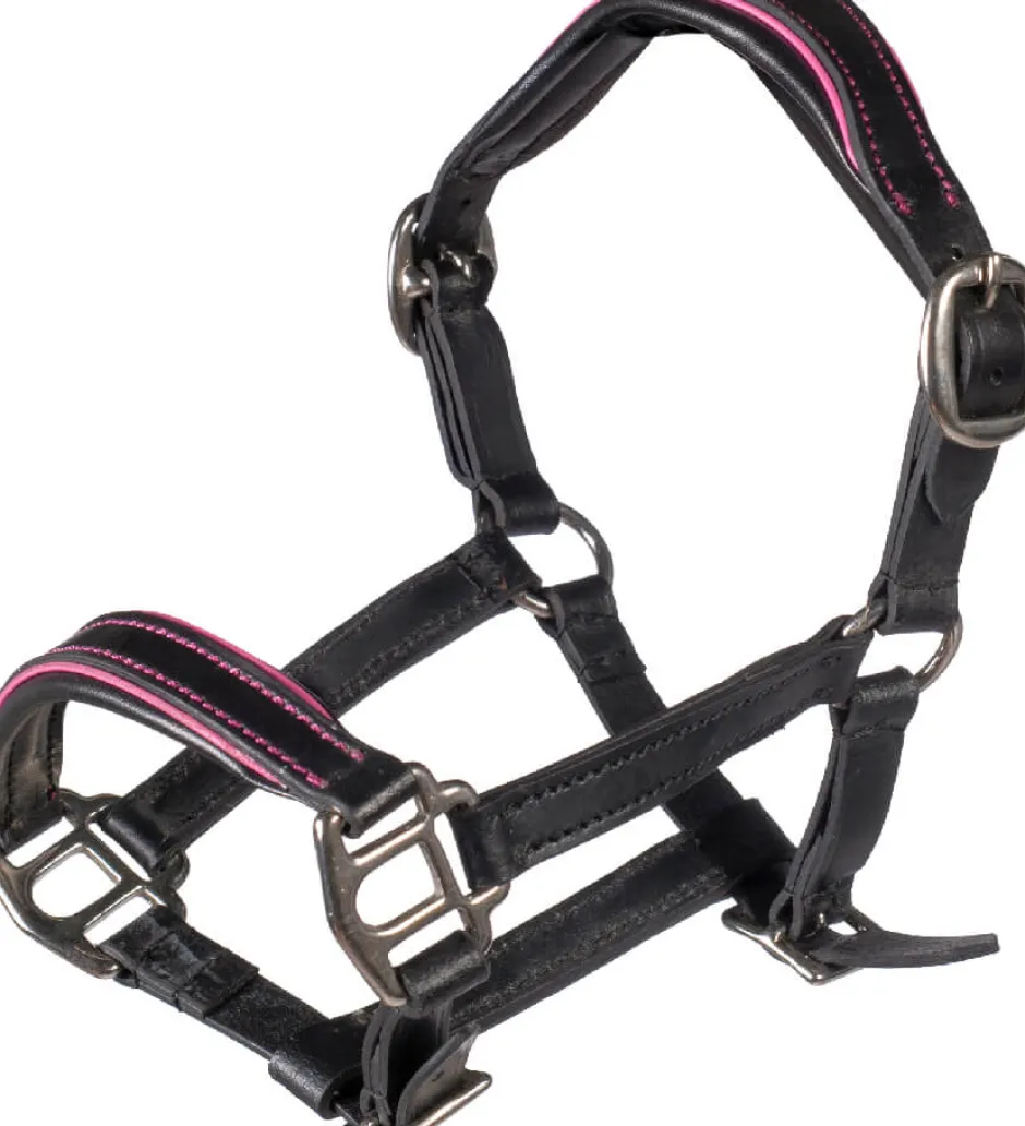 HKM KIDS Lederhalfter Manchester -Hobby Horsing-