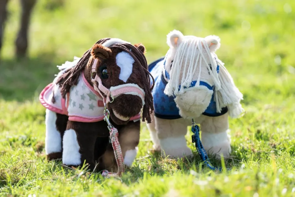 HKM Kids Starset -Cuddle Pony-