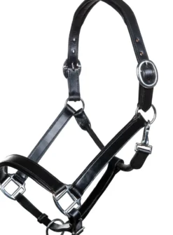 HKM Lederhalfter -Economic-
