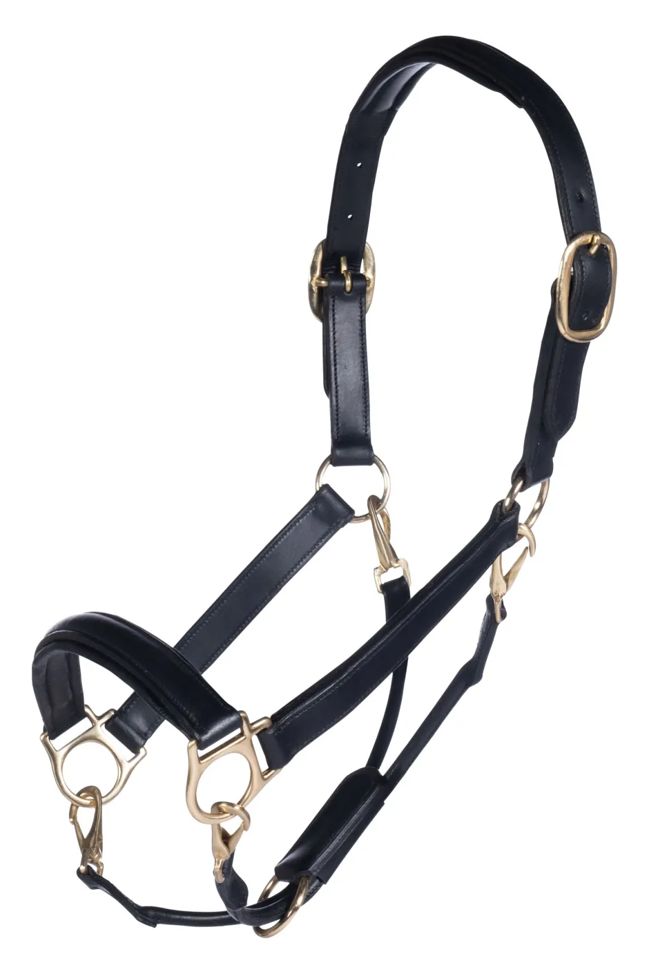 HKM Lederhalfter -Gold-