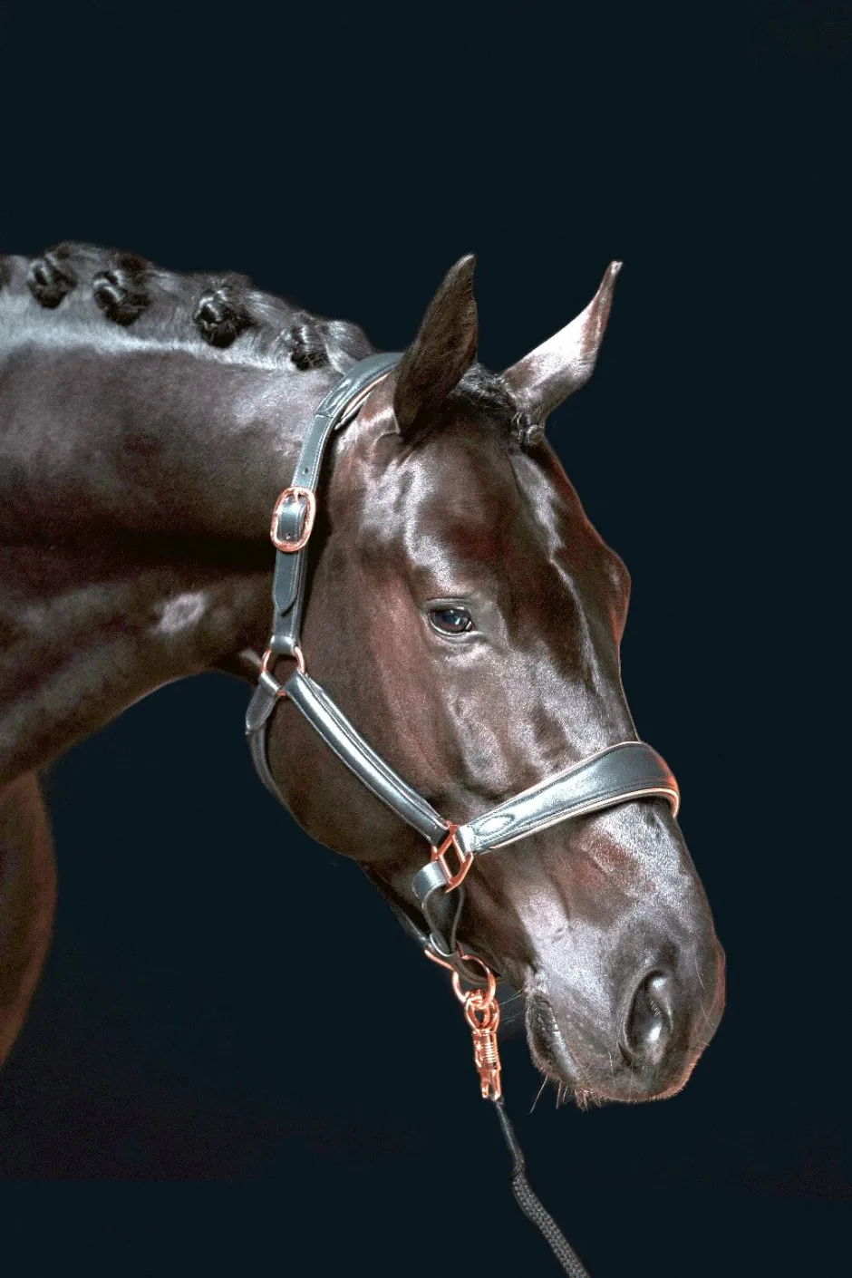 HKM Lederhalfter -Rosegold-