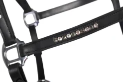 HKM Lederhalfter -Sparkle-