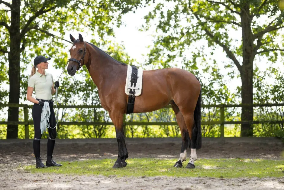 HKM Longe -Catherine-