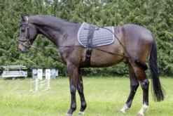 HKM Longiersystem, Vollblut/Warmblut, schwarz