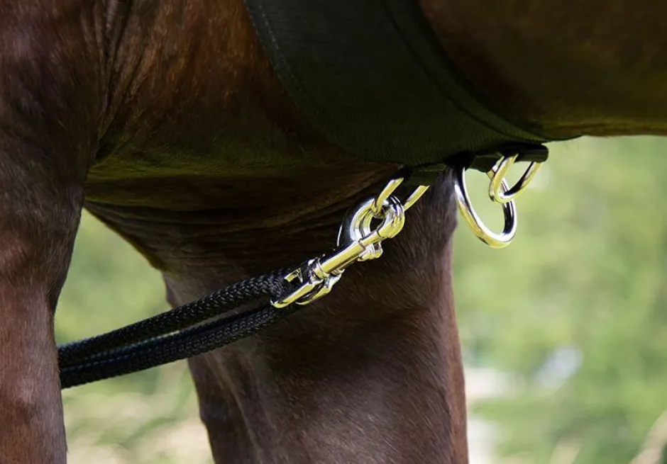 HKM Longiersystem, Vollblut/Warmblut, schwarz