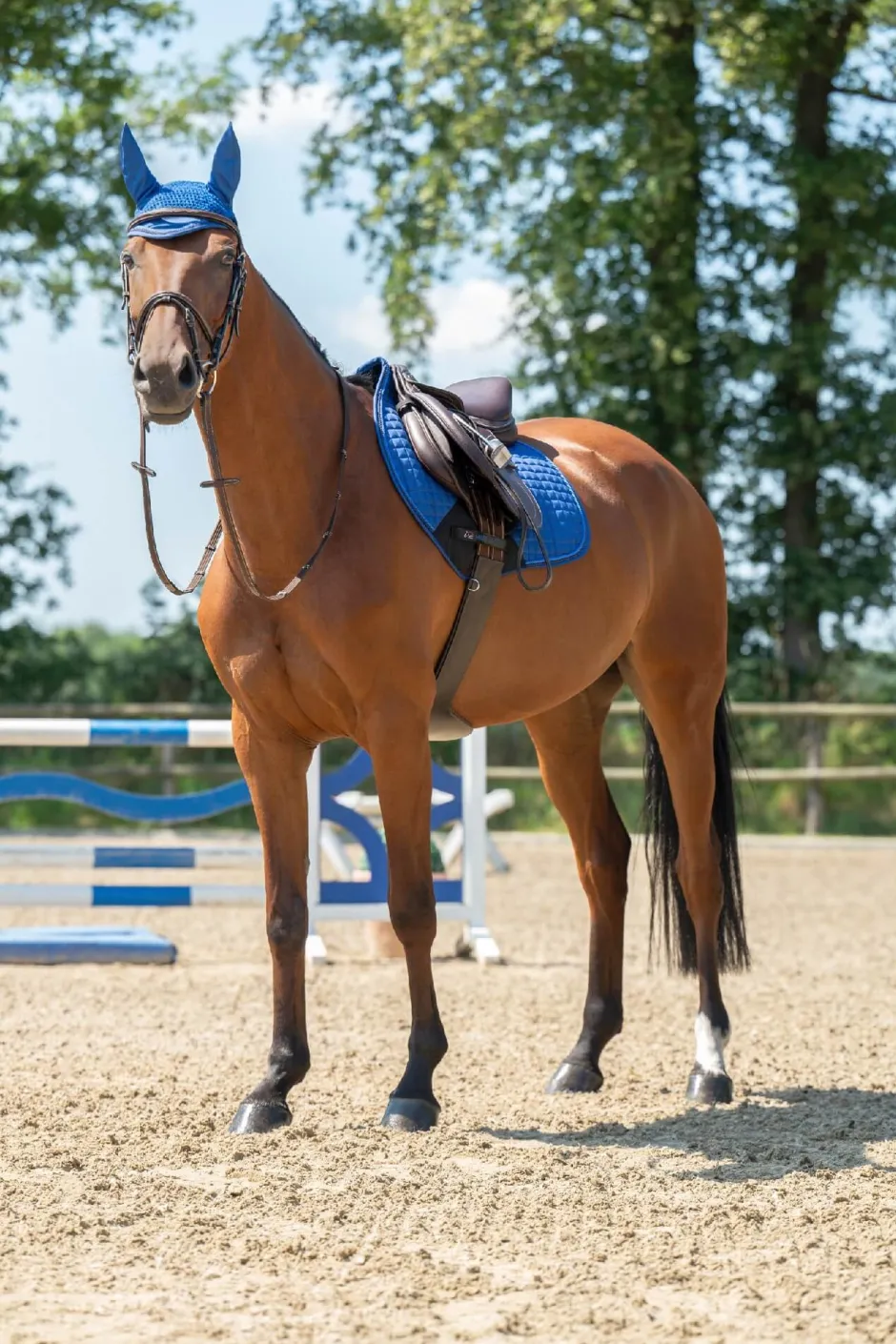 HKM Schabracke -Essentials-