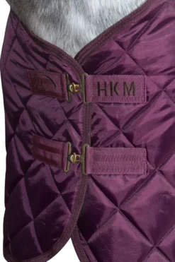 HKM Stalldecke -Winter-
