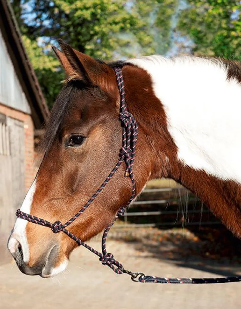 HKM TEXAS Knotenhalfter Set -Trust-