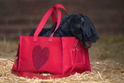 HKM Transporttasche -Cuddle Pony-
