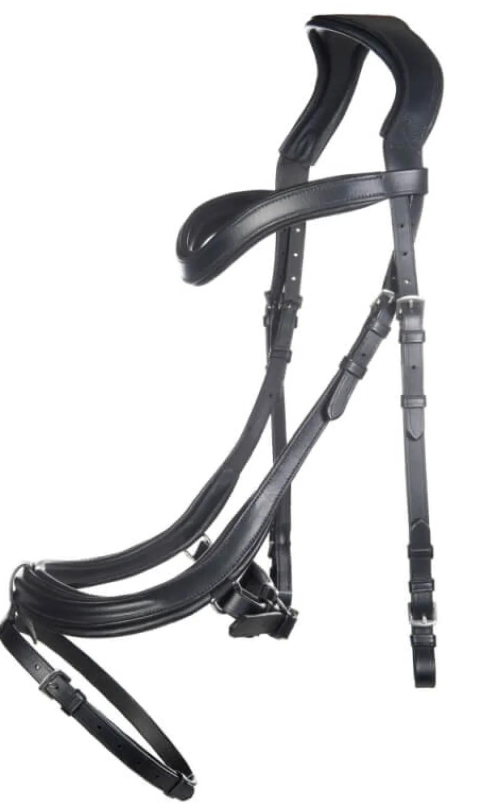 HKM Trense -Anatomic-