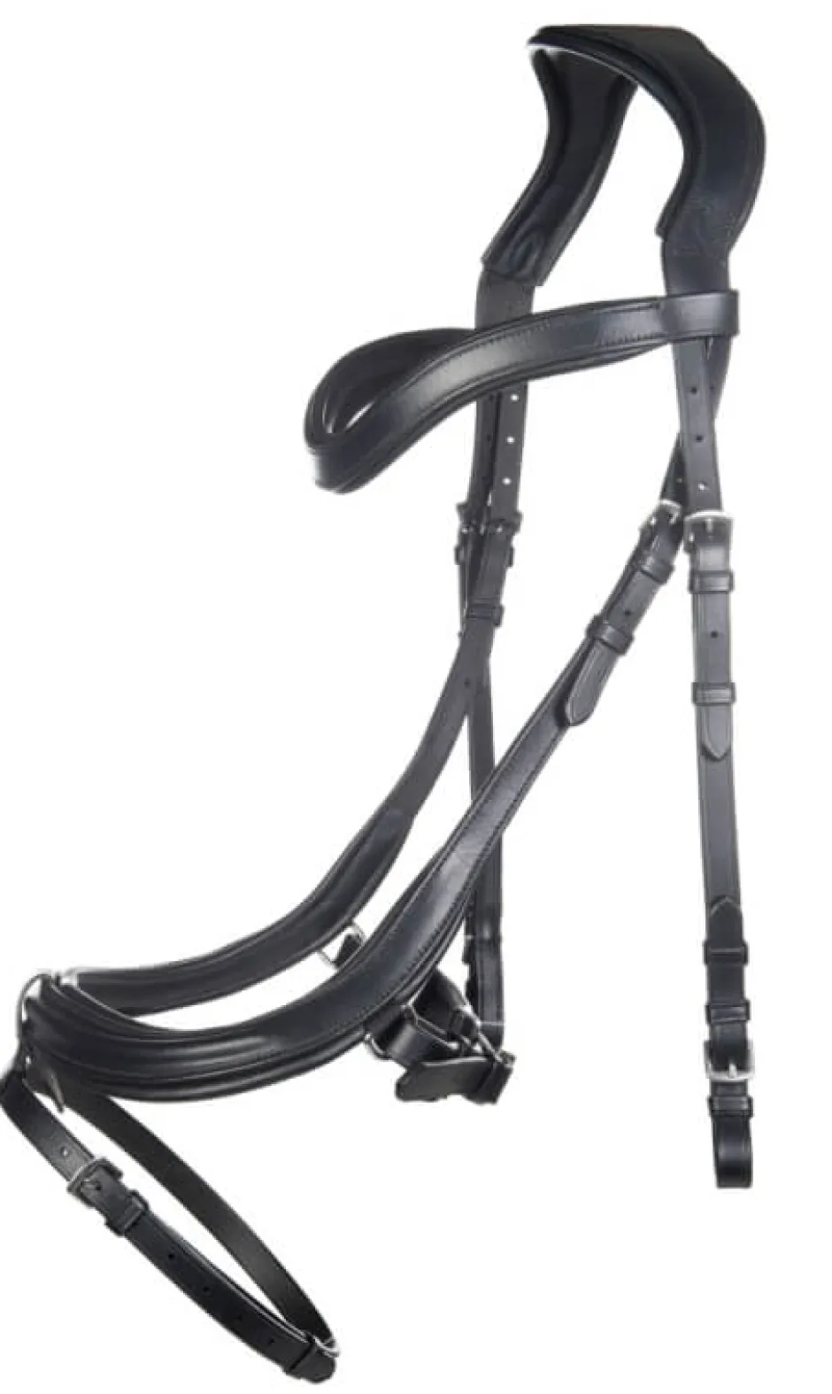 HKM Trense -Anatomic-