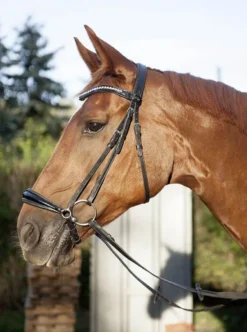 HKM Trense -Carolin-
