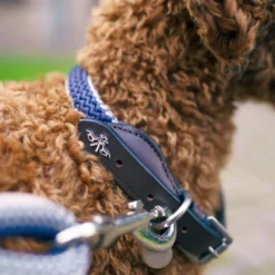 HV POLO Hundehalsband HVPFranka Rope