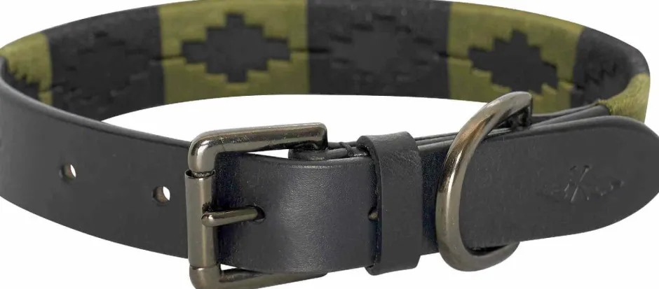 HV POLO Hundehalsband HVPChaya