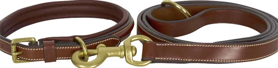 HV POLO Hundeleine HVPLegacy