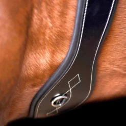 HV POLO Dressurgurt HVPLegacy
