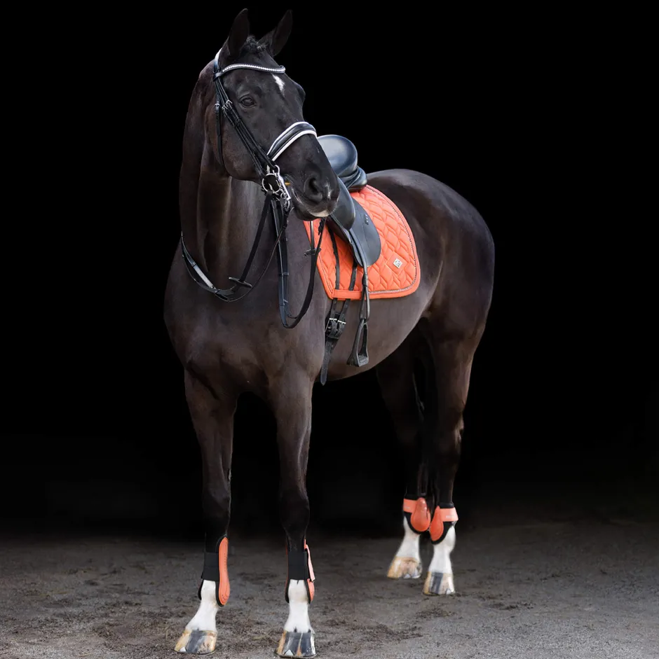 HV POLO Gamaschen und Streichkappen HVPClassic