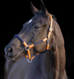HV POLO Halfter HVPFranka
