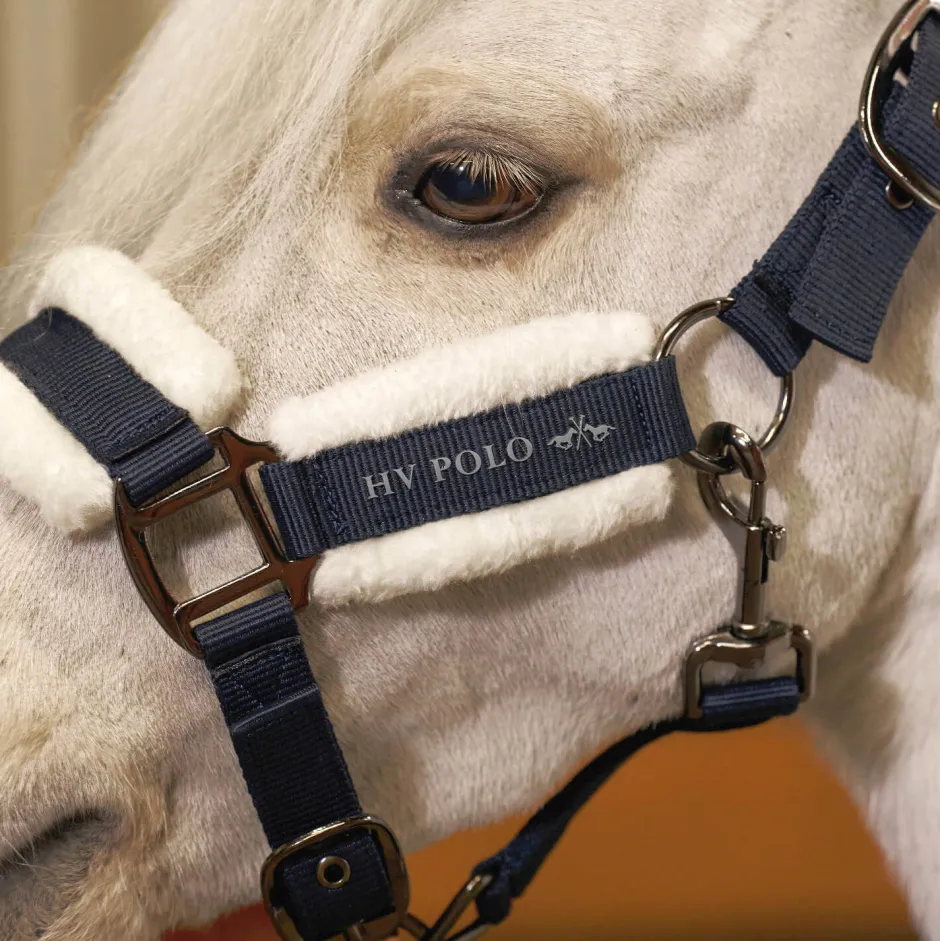 HV POLO Halfter HVPSacha