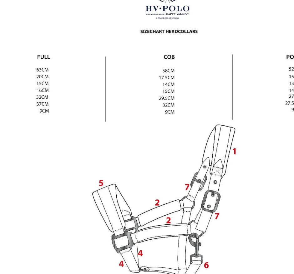 HV POLO Halfter HVPSacha