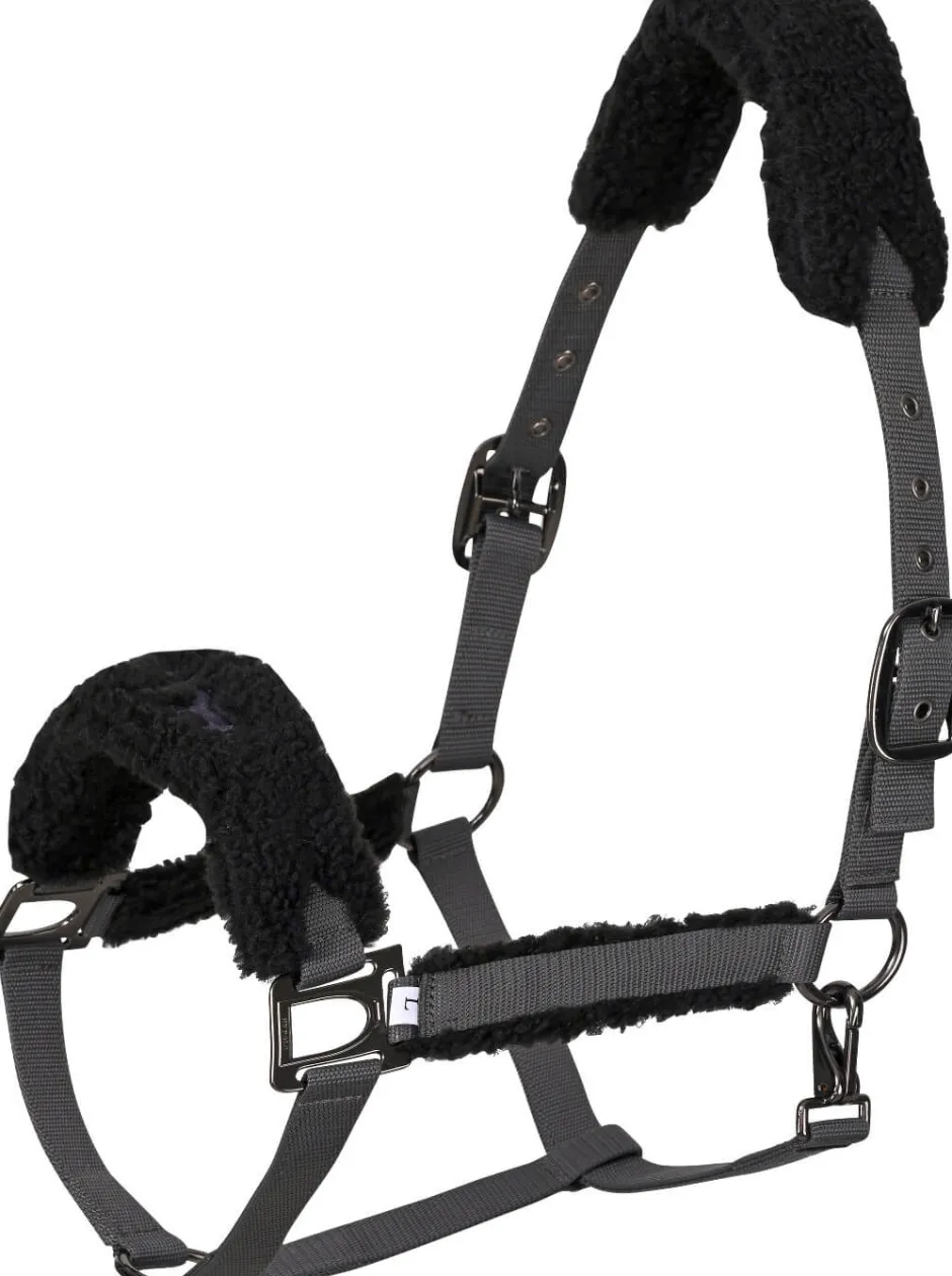 HV POLO Halfter HVPTeddy