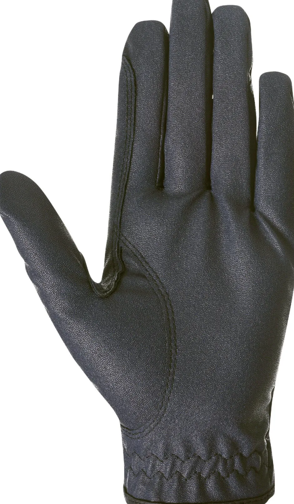HV POLO Handschuhe HVPDaily