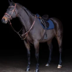 HV POLO Martingal HVPLegacy