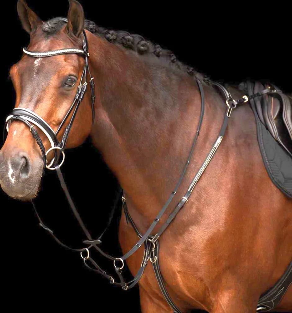 HV POLO Martingal HVPLegacy