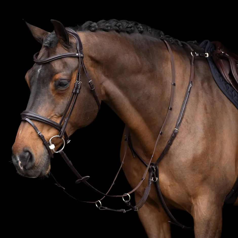 HV POLO Martingal HVPLegacy