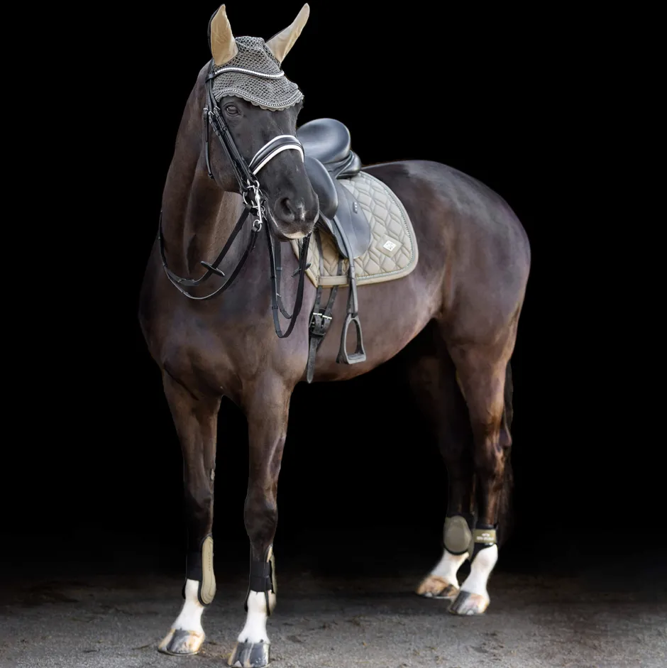 HV POLO Schabracke HVPClassic Dressur