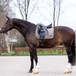 HV POLO Schabracke HVPDae Dressur