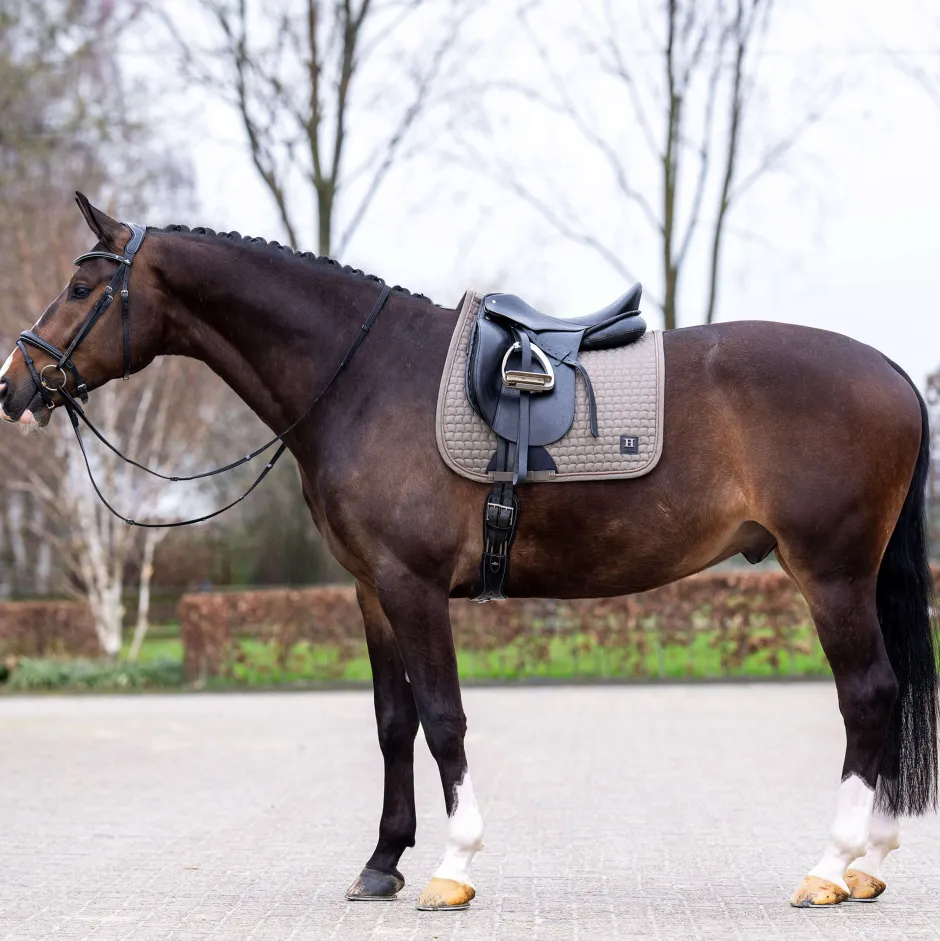 HV POLO Schabracke HVPDae Dressur