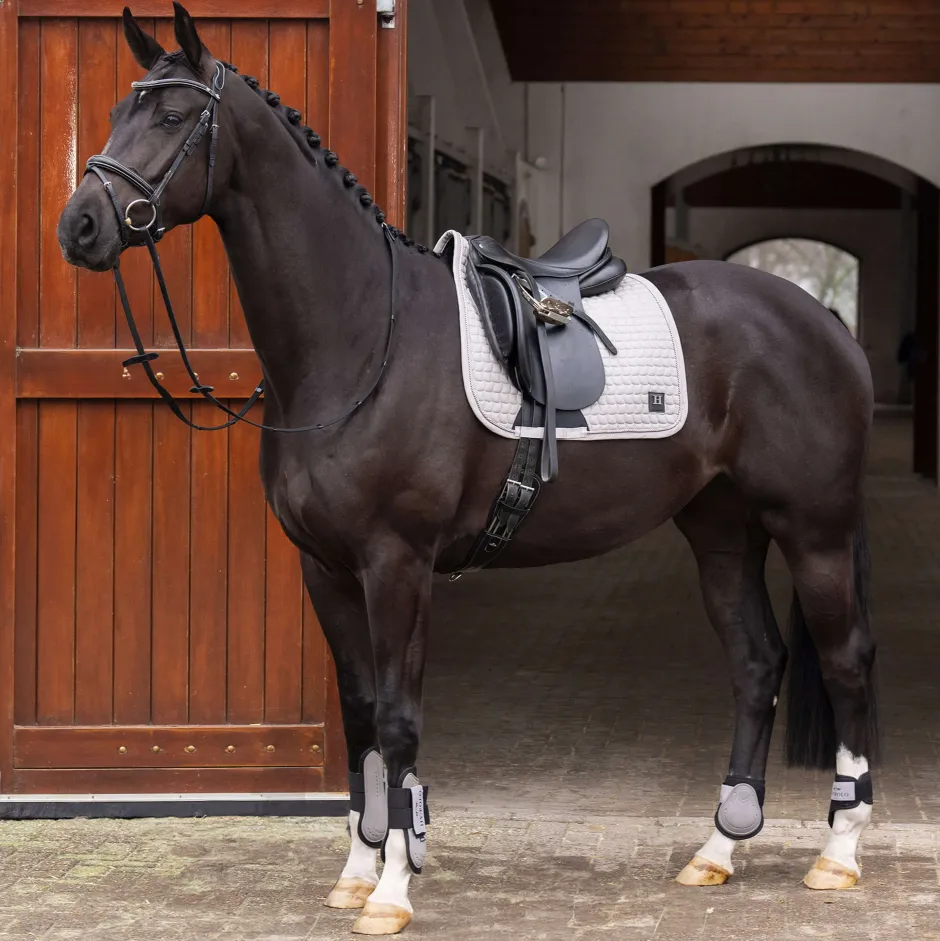 HV POLO Schabracke HVPDae Dressur