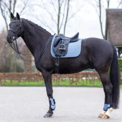 HV POLO Schabracke HVPEssential Dressur