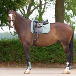 HV POLO Schabracke HVPEssential Dressur