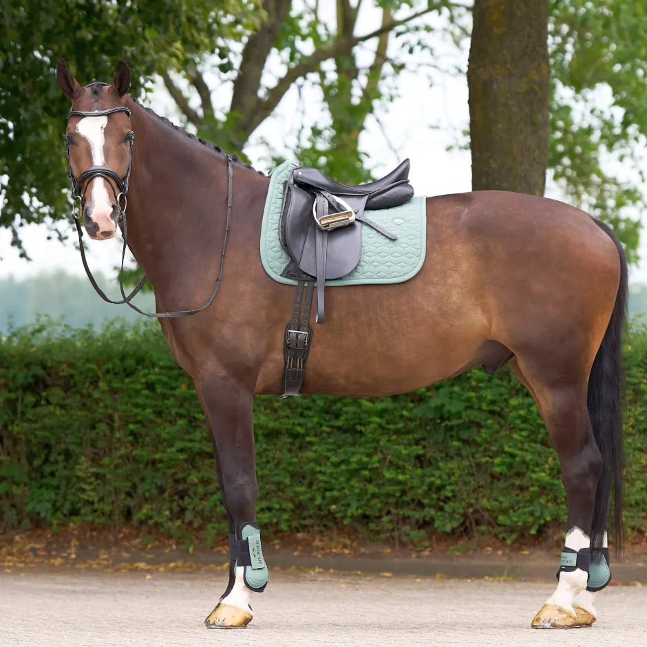 HV POLO Schabracke HVPEssential Dressur